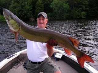 Muskie