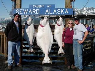 Halibut