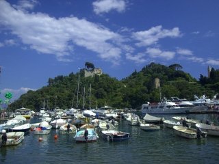 Boats in Harbor