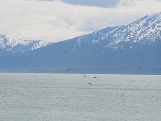 Alaska Mountains