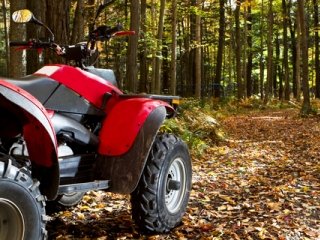 ATV in the Fall