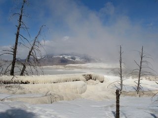 Yellowstone in the winter months