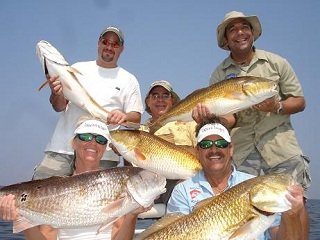 file_166951_0_redfish