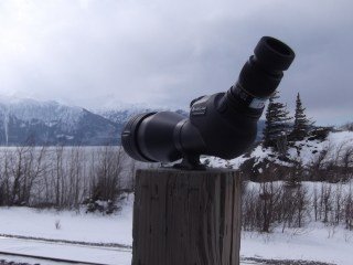 Vanguard Scope HD