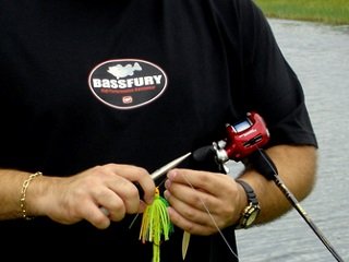 spinnerbait