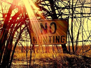 no hunting