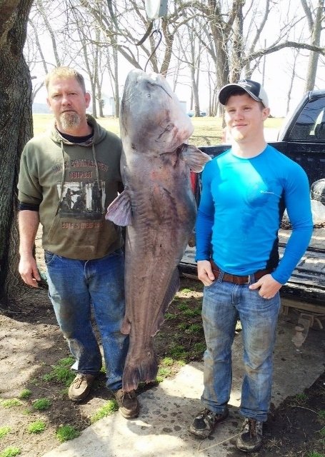 blue_catfish_2015_edde_1 (455x640) (2)