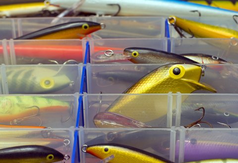 lure box