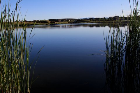 fishing hole fishing hole