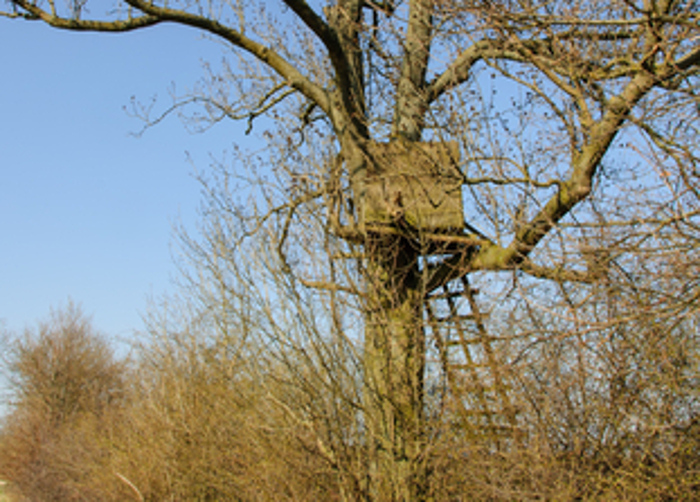 tree stand