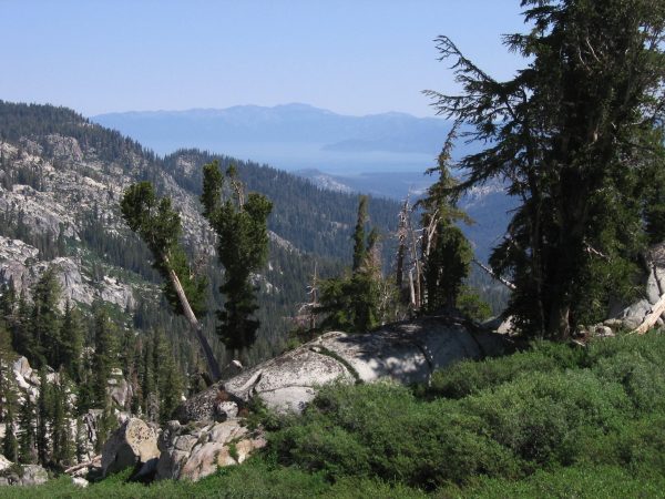 Tahoe_Rim_Trail_SL