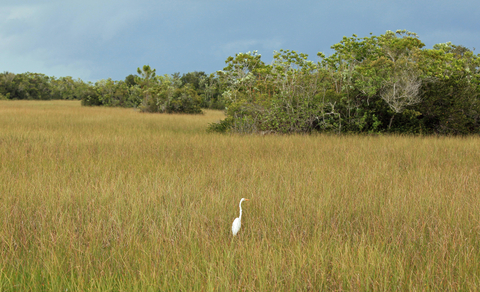 Everglades National Park, Florida