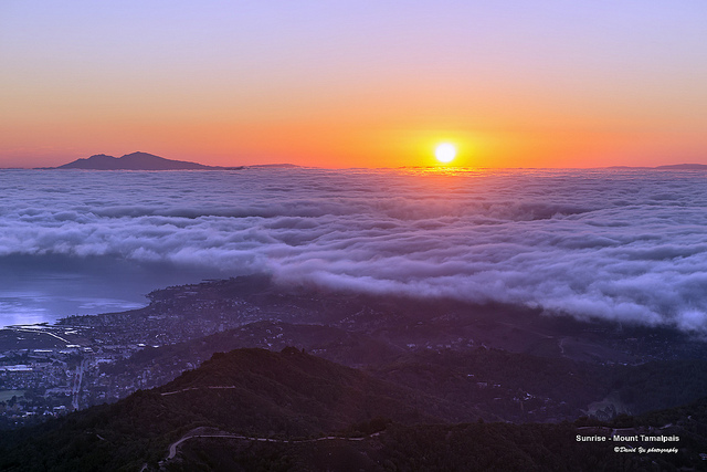 Mt. Tamalpais State Park, California